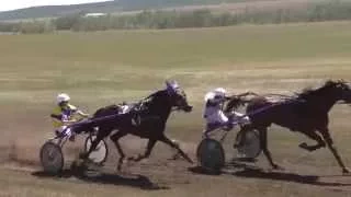 Бега в Краснотуранске 3 заезд 2015(Лошади-Horse–Animal-racing-конь-смотреть-онлайн-скачки)