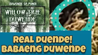 picture ng babaeng duwende! real elf duende no. 4 pixie gnome elves are real creepy video spooky