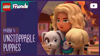 LEGO Friends: The Next Chapter S1E5 | UNSTOPPABLE PUPPIES