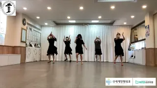 What You Say, What You Do | Beginner | line dance | 수비가 라인댄스