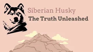 Busting Siberian Husky Myths: The Truth Unleashed 🐾