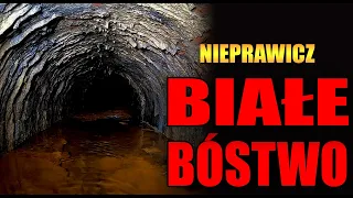 Białe Bóstwo - Creepypasta od widza [LEKTOR PL]