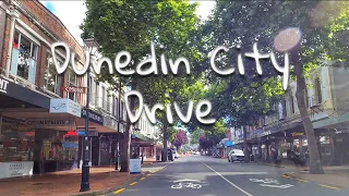 Dunedin City Drive - Morning Drive | Dunedin City by day | Start of Summer | 4K