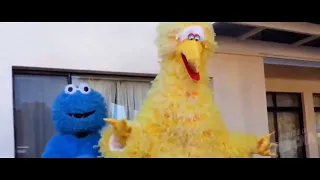 Ronald McDonald Vs. Cookie Monster & Big Bird Latino Spanish (Voice-Over)