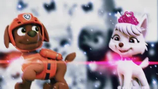 👀Зума и Свитти👀(симпа)~Для канала Skey Paw Patrol~ 👀Zuma & Sweetie👀