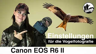 Canon EOS R6 II - Einstellungen / Tastenbelegung / Aufnahmemodus für die Vogelfotografie