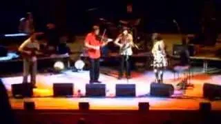 Gerry O'connor, Sharon Shannon-Bag of cats