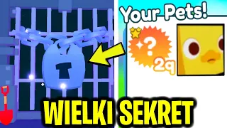 NOWE SEKRETNE MIEJSCE Z NAJLEPSZYMI HUGE PETAMI W HARDCORE MODE W PET SIMULATOR X!?