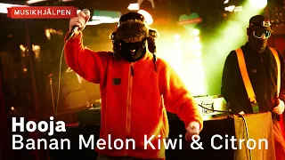 Hooja - Banan Melon Kiwi & Citron / Musikhjälpen 2022