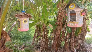 Casa de pássaros feito de garrafa pet.
