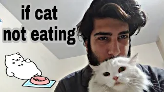 My cat is not eating anything| | persian cat|symptoms and precautions | in hindi and urdu |