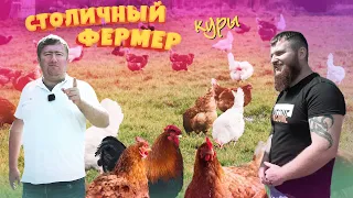 Курятник на 500 кур и современные передвижные модули птицефермы. Идеи для бизнеса на Кубани