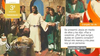 Evangelio del día 14 abril 2024 (¿Por qué surgen dudas en vuestro corazón?)