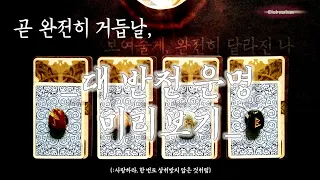 [타로카드] ‘곧 완전히 거듭날 당신의 새로운 시작.’ {:사랑하라, 한 번도 상처받지 않은 것처럼}