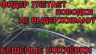 ФИДЕР УЛЕТАЕТ ПОВОДКИ НЕ ВЫДЕРЖИВАЮТ ТАКИХ ПОКЛЁВОК БЕШЕНЫЕ ПОКЛЁВКИ НА РЕКЕ