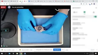 Student Tutorial-Cow Eye Dissection