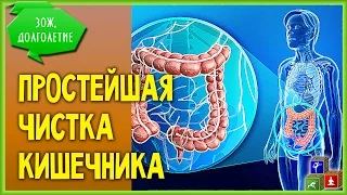 🌱 Очистка кишечника - проще некуда... Льняная мука!