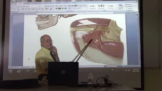 Anatomy of head & neck 34 ( Temporal & infratemporal fossae , part 1 ) , by Dr. Wahdan