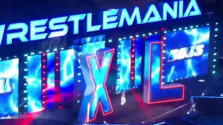 4/7/2024 Wrestlemania XL Sunday (Philadelphia, PA) - "The Final Boss" The Rock Entrance