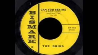 The Briks - Can You See Me