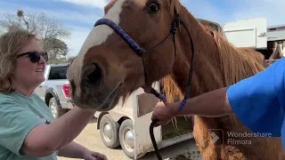 Blaze made it to his new forever home !