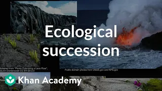 Ecological succession  | Ecology | Khan Academy