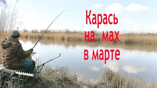 Ловля карася на поплавок в начале марта. Как поймать карася в начале весны. Прикормка для карася.