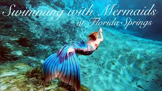 Florida Springs: Swimming with Mermaids