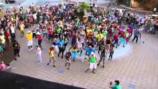 ##OKI FLaSH MOB##   LMFAO Party Rock Anthem   YouTube