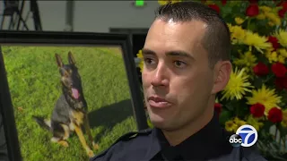 Law enforcement community honors fallen Sunnyvale K-9 officer