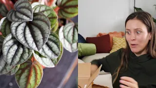 Houseplant Shopping Online! | Indoor Plant Unboxing & Haul! ThePlantFarm Plant Unboxing & Review!