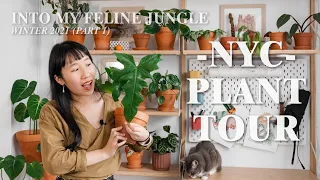 Plant Tour Winter 2021l My NYC Apartment 100+ Houseplant Collection Pt. 1