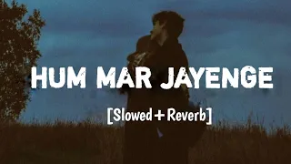 Hum Mar Jayenge [ slowed + reverb ] | Ashiqui 2 | Arijit singh | Tulsi Kumar | Lofi World |