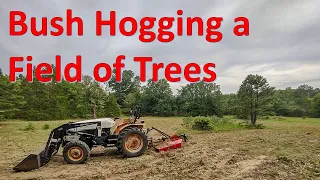 Bush Hogging A Field Of Trees .Over 18 Minutes Real Time Mowing