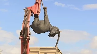 Крупнейшую операцию по переселению слонов проводят в Малави (новости)