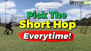 How To "Pick" The Short Hop with the "Read The Hop" Fielding Drill [Short Hop Fielding Drills]