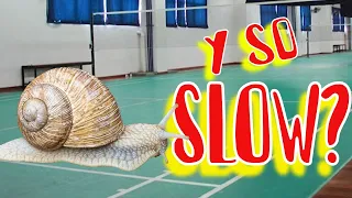 5 Uncommon common sense in badminton that might cause you to lose your tournament game.