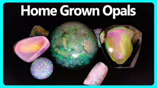 Can you GROW an Opal?