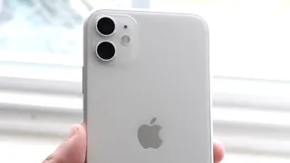 iPhone 11 Dilemma