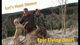 Amazing Flying Deer! Doe Hunting in Scotland Tikka T3 X 7mm Rem Mag Clear Vortex Barnes TTSX
