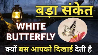 White Butterfly क्यों बस आपको दिखाई देती है ❤️ l Seeing Butterfly Meaning in Law of Attraction