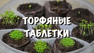 🌺КАК ПОСЕЯТЬ В ТОРФЯНУЮ ТАБЛЕТКУ🌺 ЭУСТОМА, БЕГОНИЯ 🌺