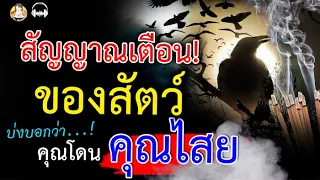 10 สัญญาณเตือน!! ของสัตว์ บ่งบอกว่าคุณ กำลังจะโดน คุณไสยมนต์ดำ