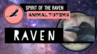 The Meaning of Seeing Ravens | Raven Totem | Spirit of the Earth