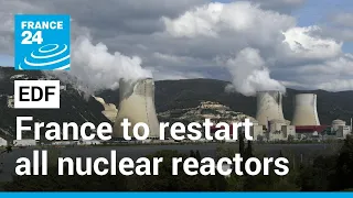 France to restart all nuclear reactors by winter amid energy crunch • FRANCE 24 English