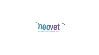 анимация логотипа neovet