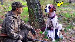 Hunter Found A Dog With Puppies Tied To A Tree. Looking Closer, He Burst Into Tears!