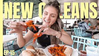 ULTIMATE New Orleans Food Tour and Swamp Tour // New Orleans Travel Guide