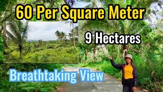 #Vlog04 | 9 Hectares | 60 Per Square Meter | Affordable Farm | Breathtaking View | DIRECT TO OWNER |