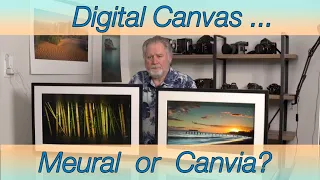 Meural or Canvia Digital Canvas?